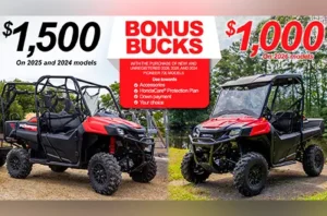 Read more about the article Bonus Bucks