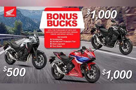 Read more about the article Bonus Bucks