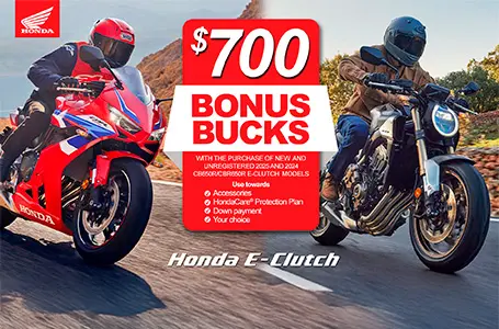 Read more about the article Bonus Bucks